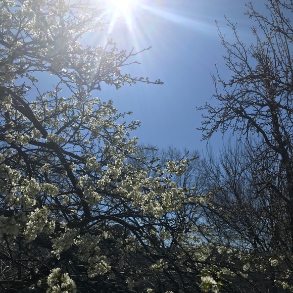 Meet your Posher, Ashley - Picture 2 of 6